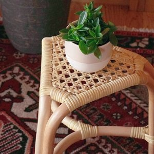 座面の素材は湿気に強い合皮やラタンをチョイス