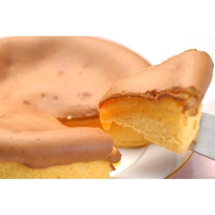 ふわとろ?しっとり?食感にこだわって選んでみよう