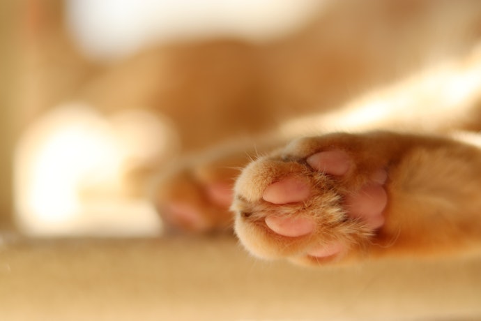 なめらかなものだと伸びがよく、滑りにくいのでおすすめ