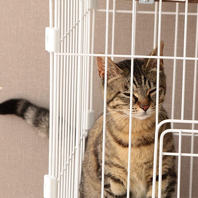 特徴に応じてケージの素材にも注目しよう