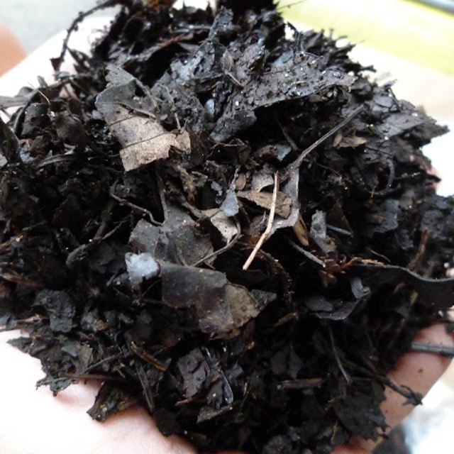 広葉樹だけを使用しているものをチョイス