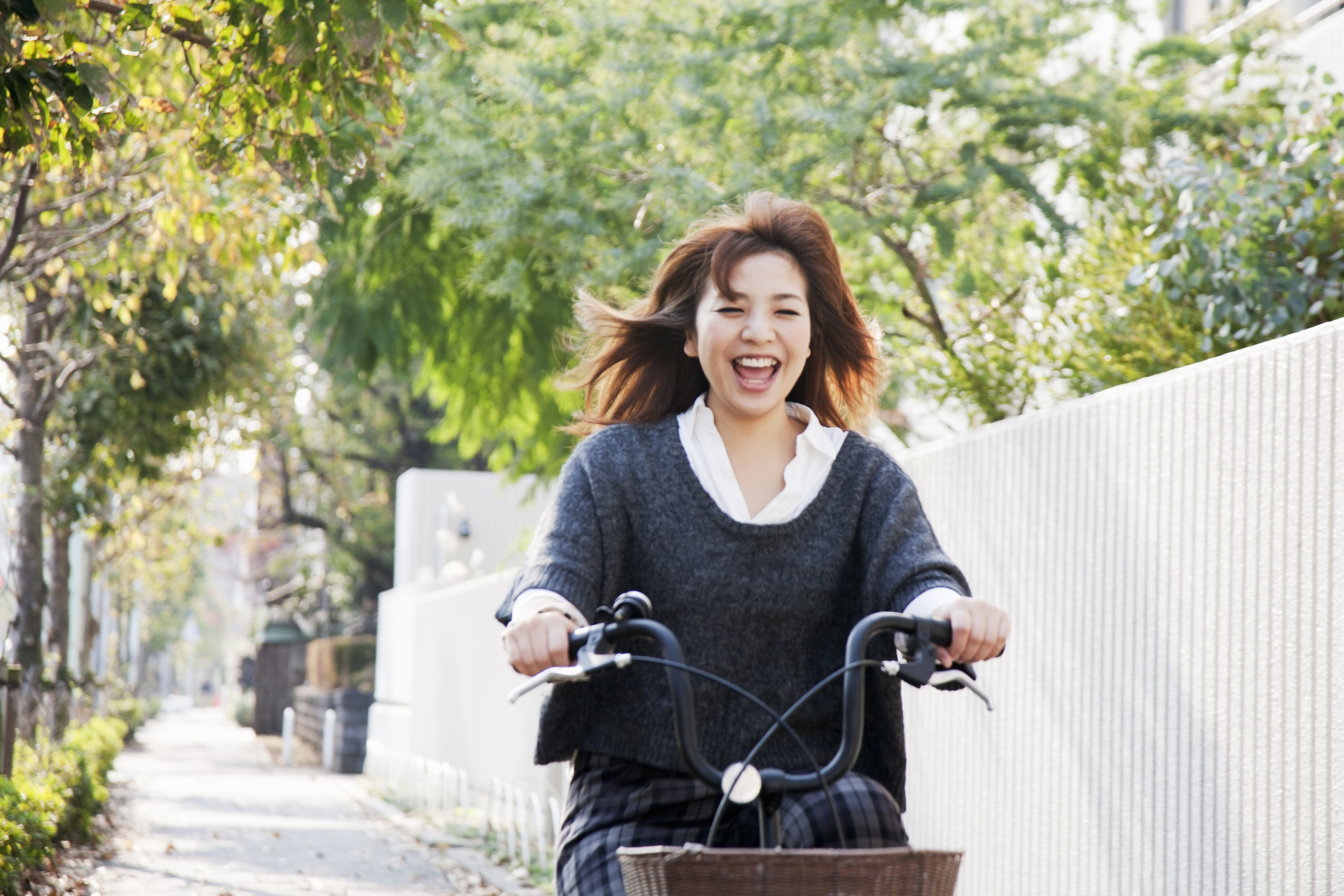 22年 東京のサイクリングスポットのおすすめ人気ランキング10選 Mybest