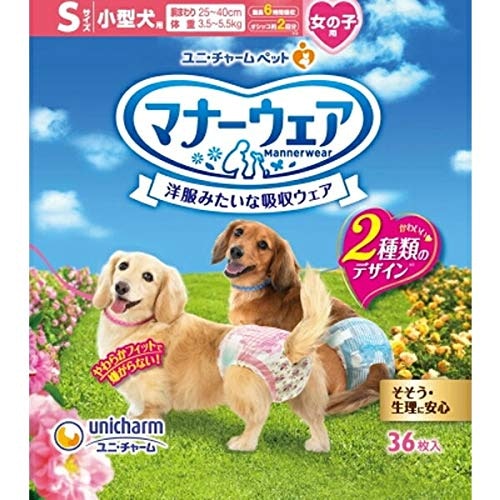 犬用おむつを代用するなら、女の子用をチョイスしよう