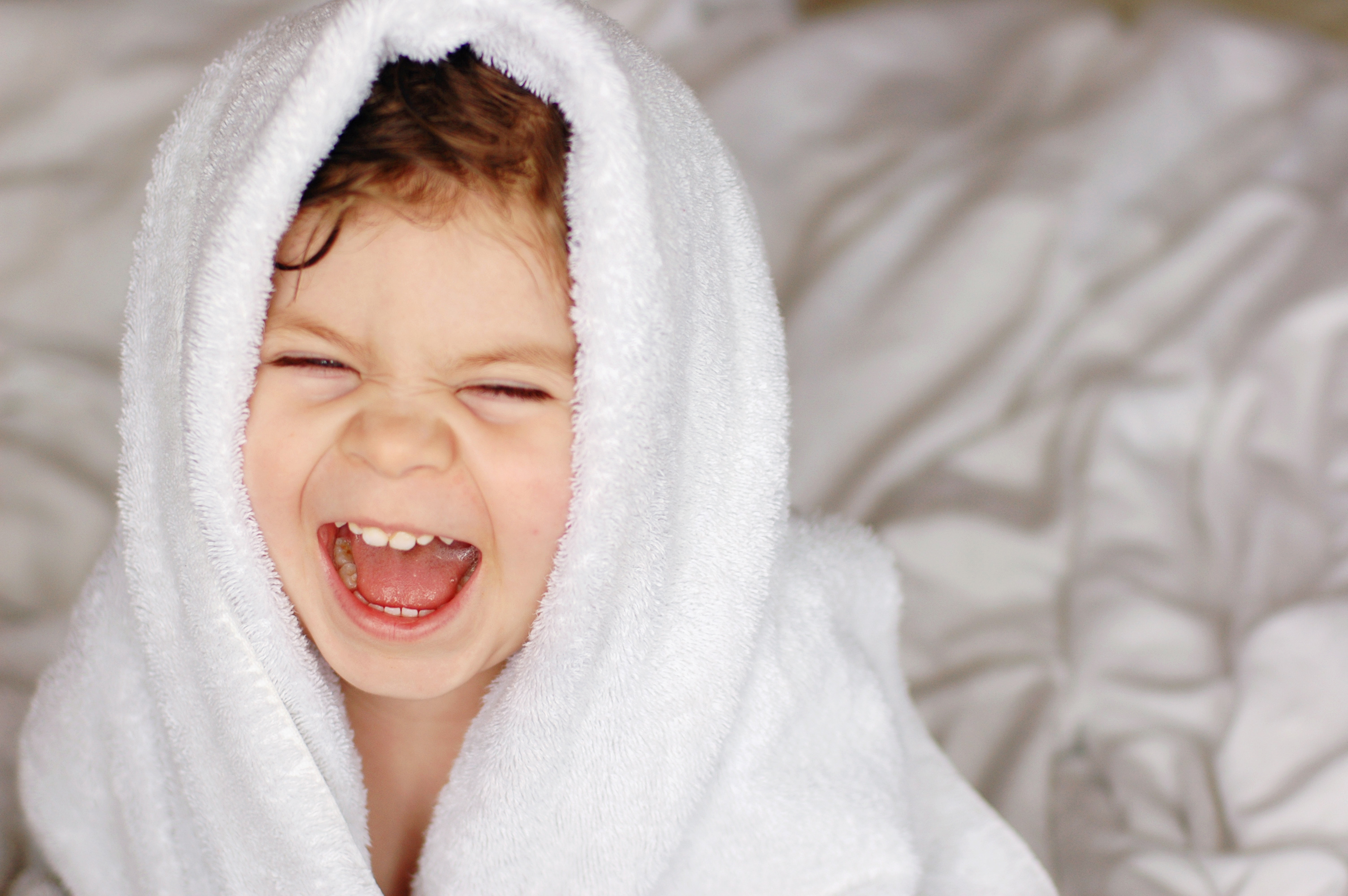 22年 タオルのふるさと納税返礼品のおすすめ人気ランキング10選 Mybest