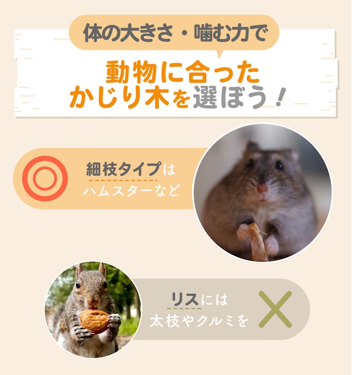 柔らかい?硬い?かじりやすいものを選択しよう