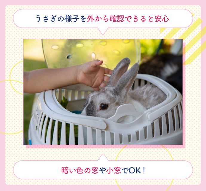 窓付きなど中が確認できるタイプも要チェック