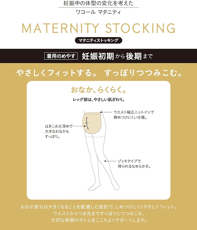 お腹周りの形状を確認