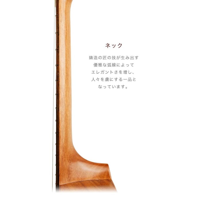 音域や演奏感を左右するフレット数やネックもチェック