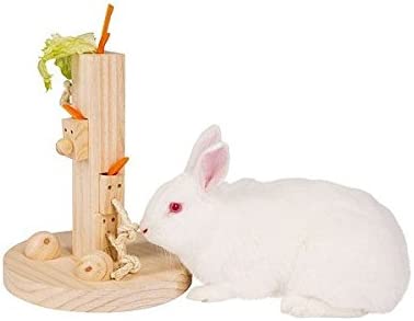 22年 うさぎ用おもちゃのおすすめ人気ランキング39選 Mybest