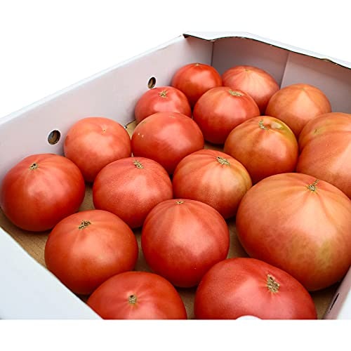 たっぷり食べたいなら規格外品がお得