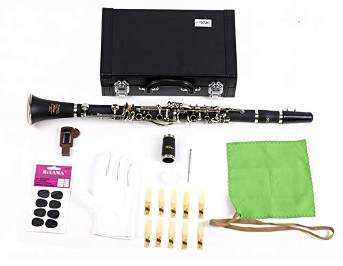 [美品] クラリネット　練習用　初心者用　ケース付き 初心者用クラリネットのおすすめ人気ランキング【2026年1月】 | マイベスト