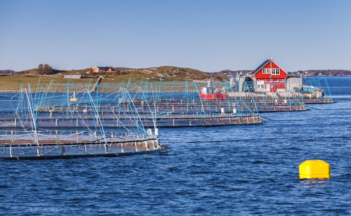 サーモンの産地はノルウェーやチリが有名