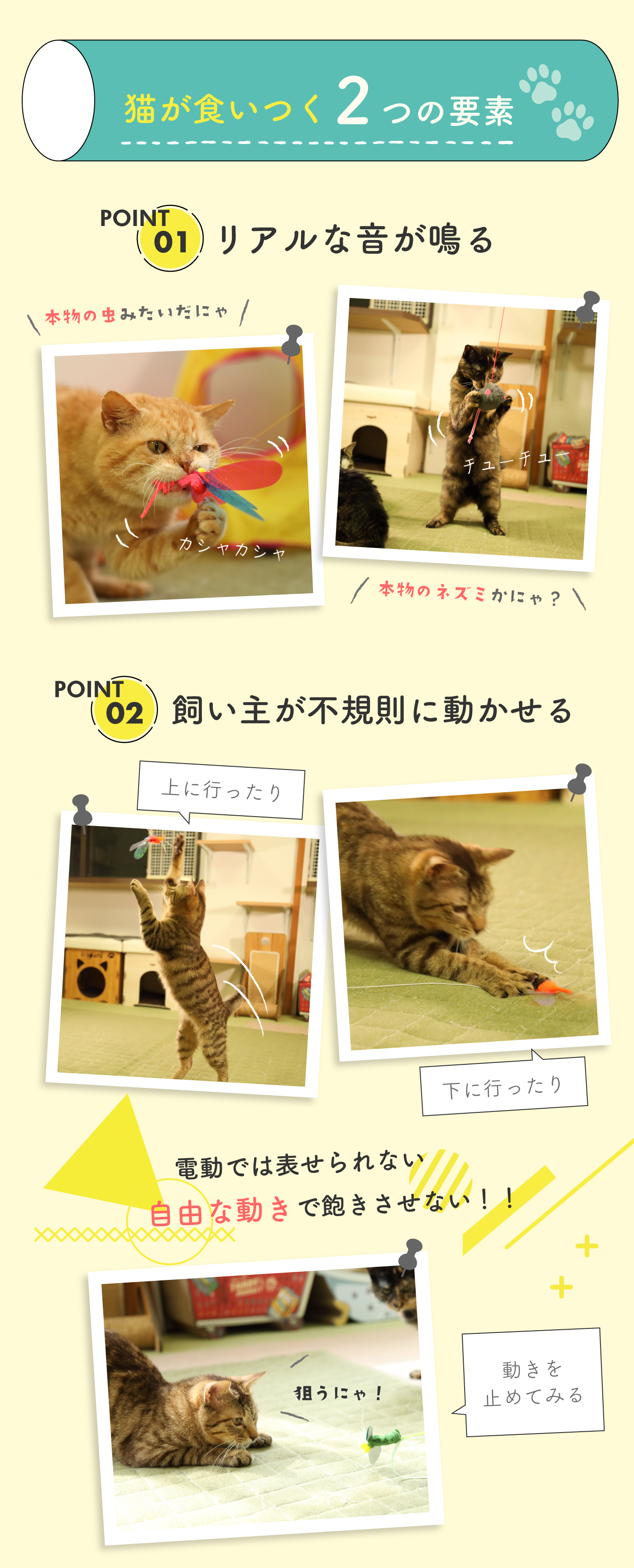 22年 猫用おもちゃのおすすめ人気ランキング21選 徹底比較 Mybest