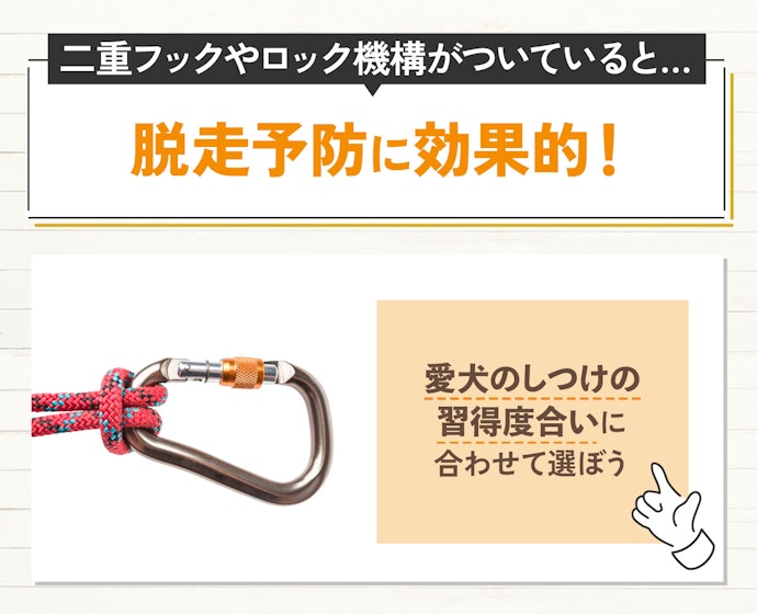 おしゃれな首輪・ハーネスのセットも選択肢に