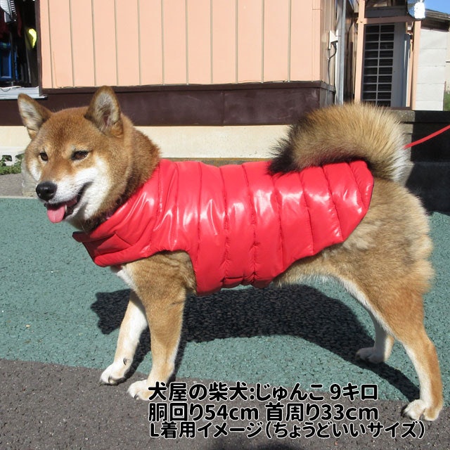 首回りと胴回りのバランスが大事。柴犬に合うサイズを選ぼう