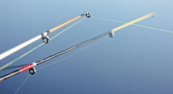 1.5lbを基準に狙う魚や場所にマッチする強度をチョイス