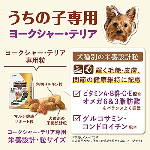 関節の健康維持に役立つグルコサミン・コンドロイチン入りが◎