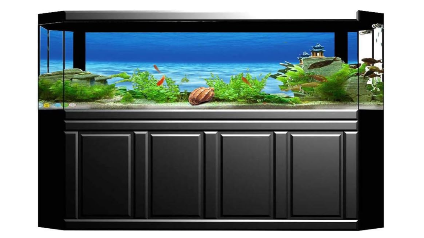 07cf2641705fc48349ffed5259b613