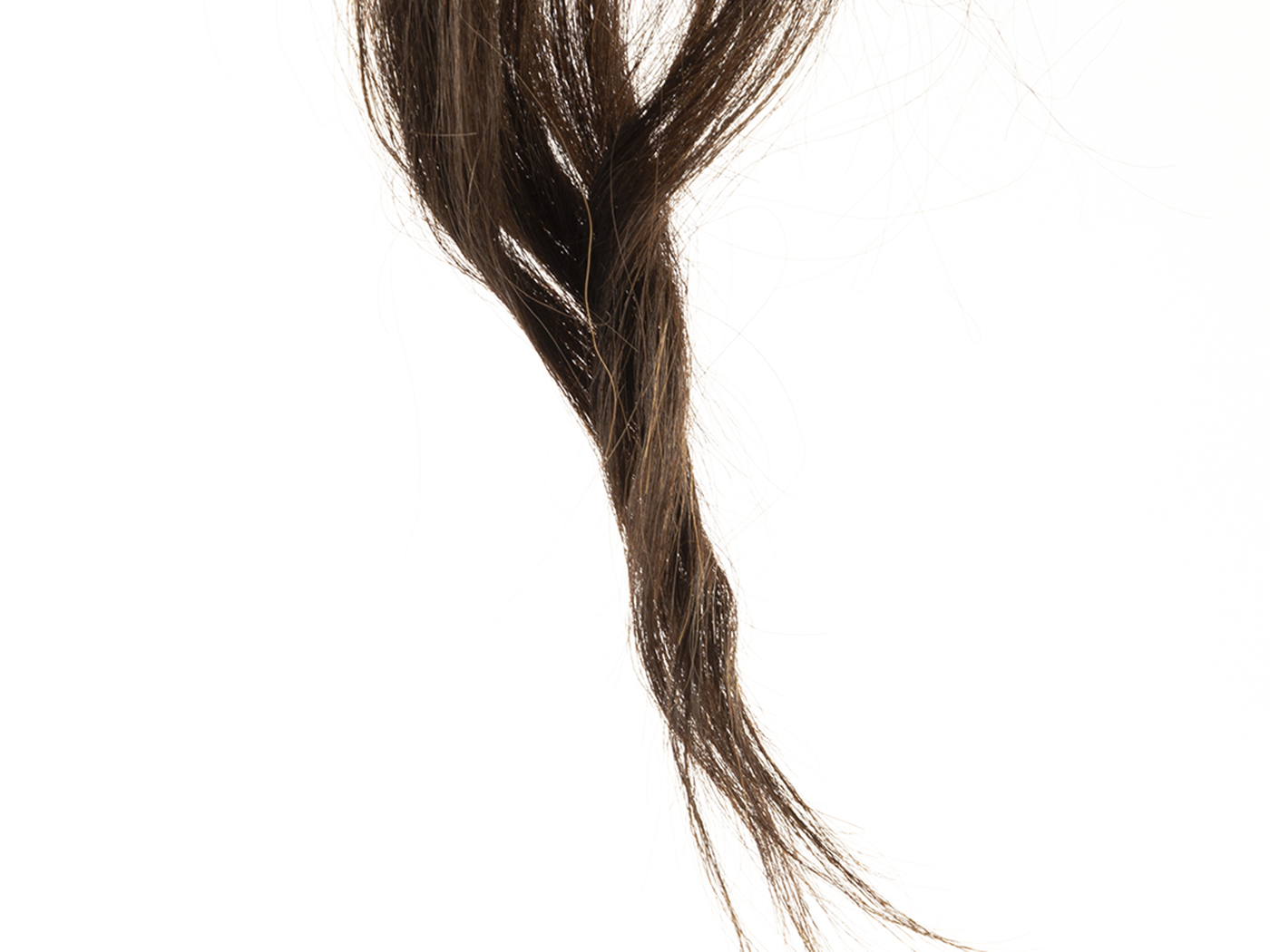 徹底比較 ヘアカーラーのおすすめ人気ランキング選 Mybest