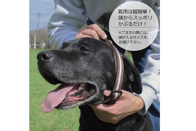 22年 犬用ハーフチョークのおすすめ人気ランキング選 Mybest