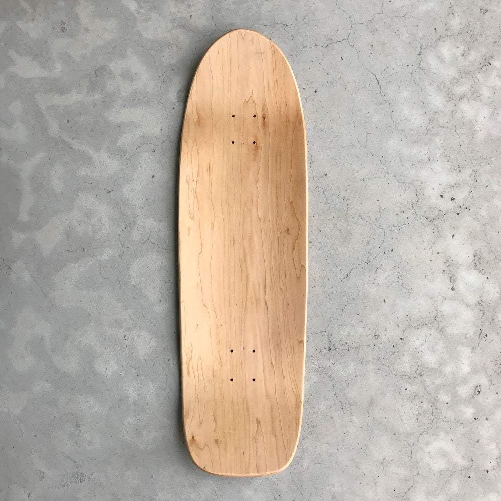 スケボー サーフィン用 hydroflex ミニクルーザー BEACH LEECH MINI CRUISER SKATEBOARD