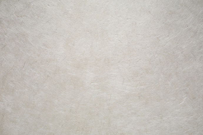 和紙っぽさが魅力の「画仙紙」