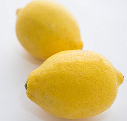2023年】通販のお取り寄せレモンのおすすめ人気ランキング21選 | mybest