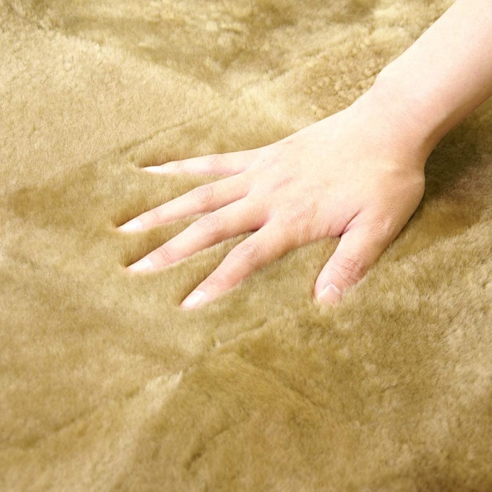 就寝中の負担を軽減したければ、毛の密度は3,000本以上/cm2以上を目安に