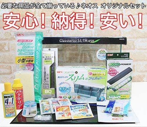 ミナミヌマエビ・ビーシュリンプの繁殖には45cm以上の水槽セットがベター