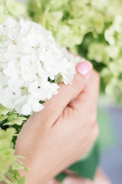 プケッティ:さりげなく花モチーフを身につけたい人におすすめ
