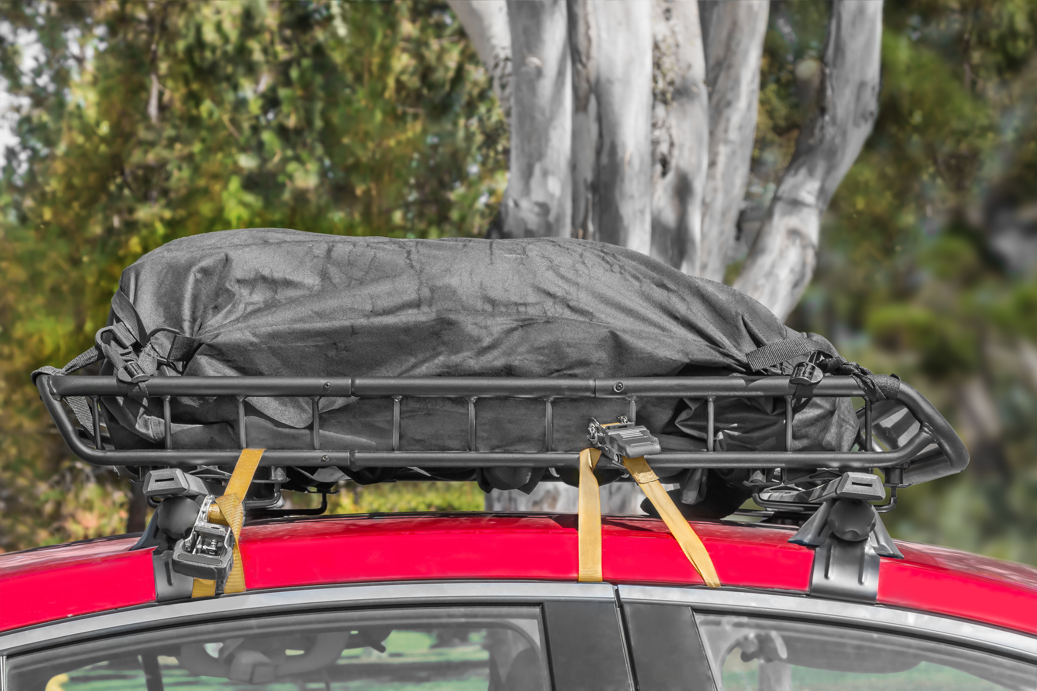 22年 ルーフキャリアのおすすめ人気ランキング10選 Mybest