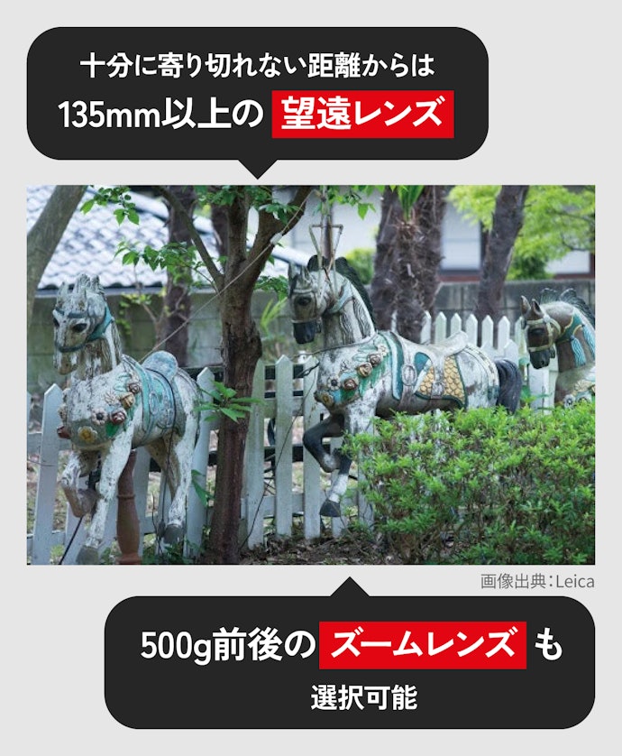 望遠レンズなら、遠く離れた被写体もしっかり収められる