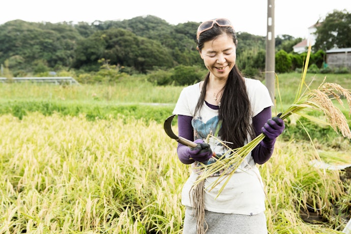 「鋸鎌」があれば春の除草から秋の稲刈りまで万全