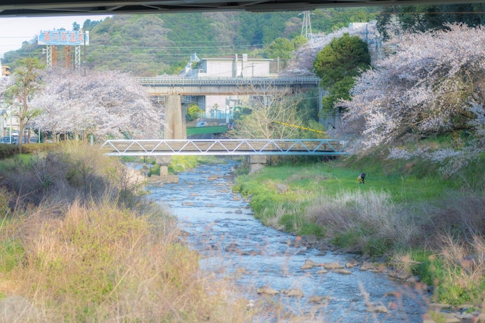 湯河原温泉:温泉と一緒に観光も楽しみたい人はもってこい