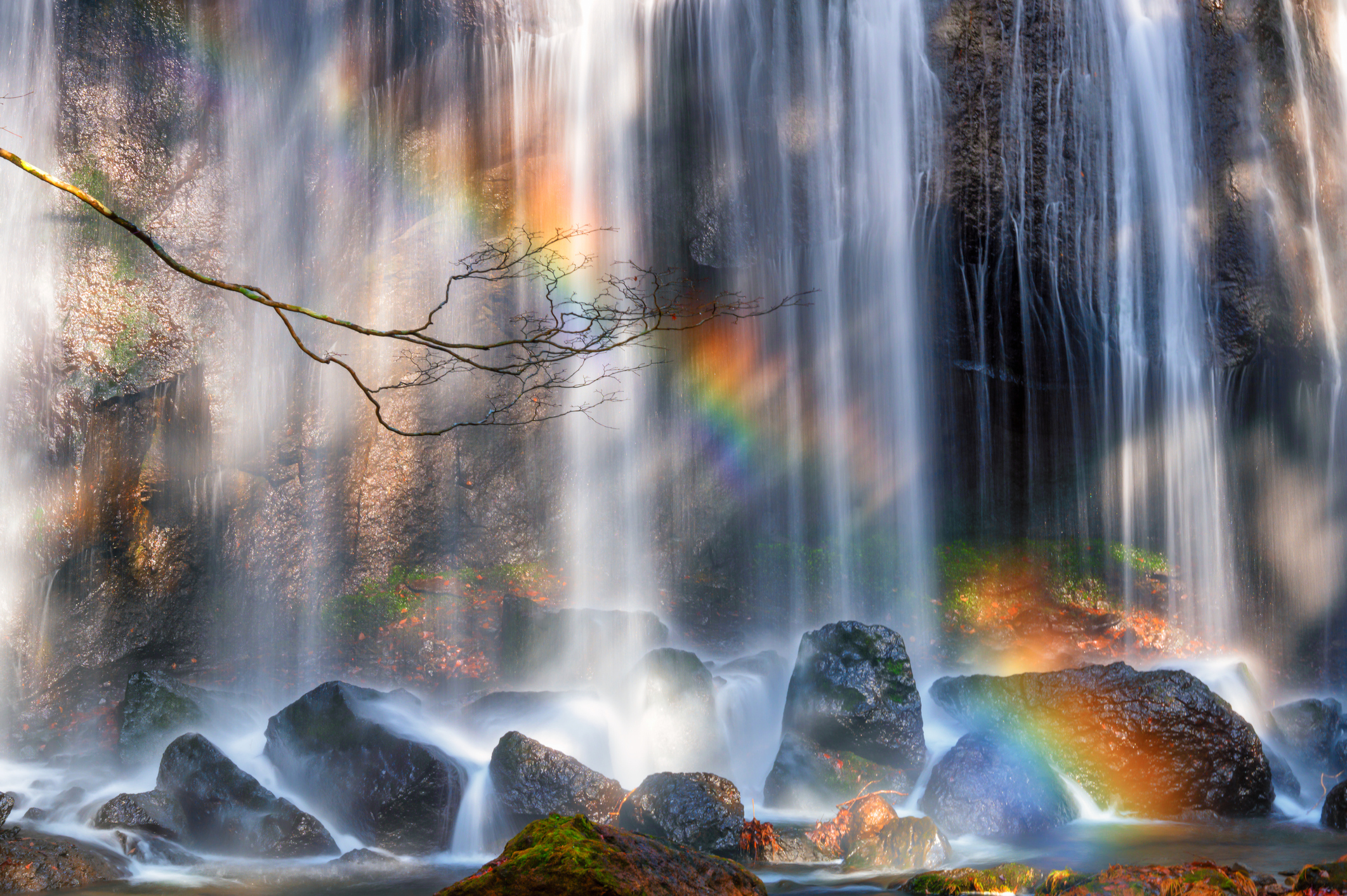 22年 写真背景加工アプリのおすすめ人気ランキング38選 Mybest