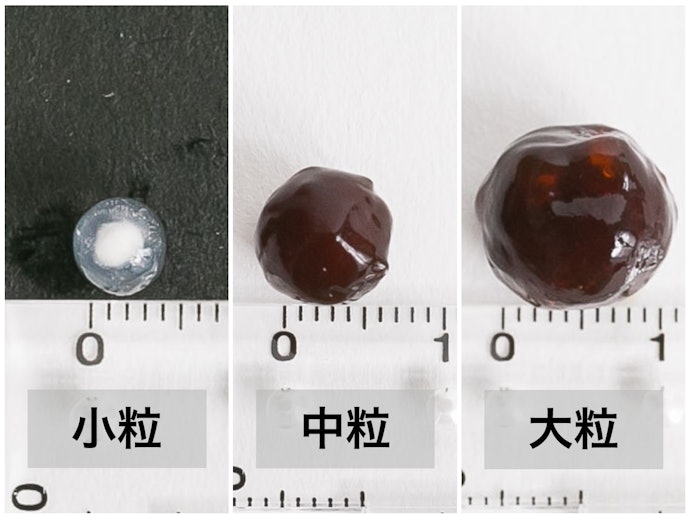 粒の大きさも要チェック