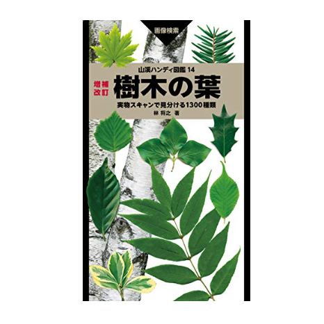 草花より木に興味がある人には、樹木図鑑がぴったり