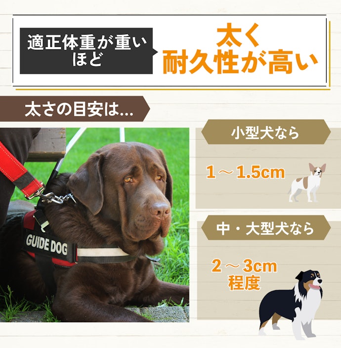 長さ:扱いやすいのは短いサイズ。手元から首の高さまでの距離を目安に