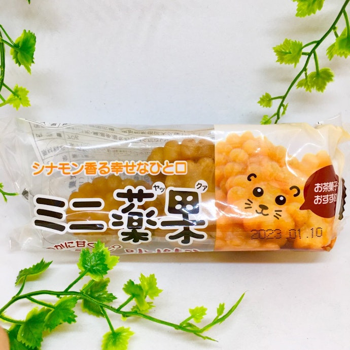 本場の韓国の味を知りたいなら伝統菓子がうってつけ