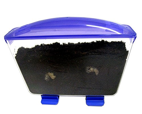幼虫の場合は、飼育数×3Lのマット(腐葉土)の容量を目安にセレクト