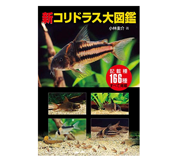 22年 熱帯魚図鑑のおすすめ人気ランキング10選 Mybest