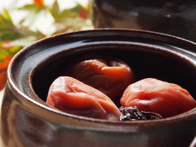 口が大きいものなら、梅干しを取り出しやすく使い勝手良好