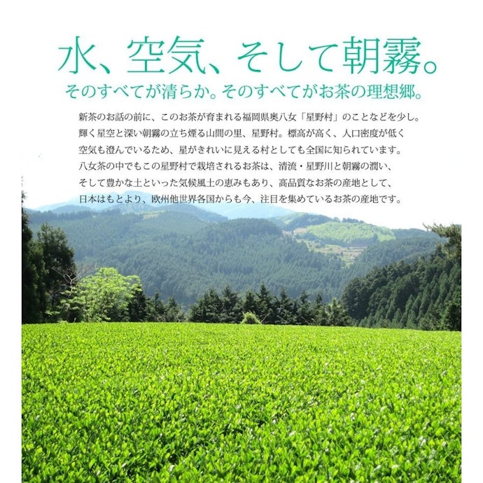 甘み旨みが濃縮された福岡県産「八女茶」は、和菓子との相性ぴったり