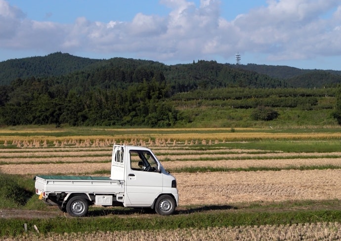 積み下ろしがしやすく頑丈!荷物をメインで運ぶなら軽トラックがおすすめ