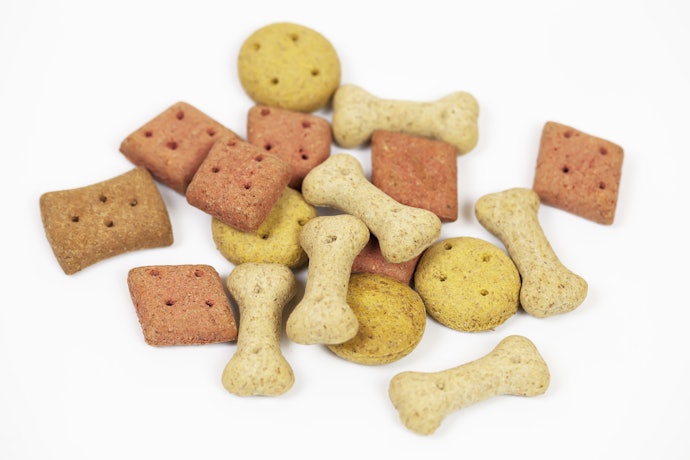 子犬のしつけのご褒美には、フードに似たおやつをチョイス