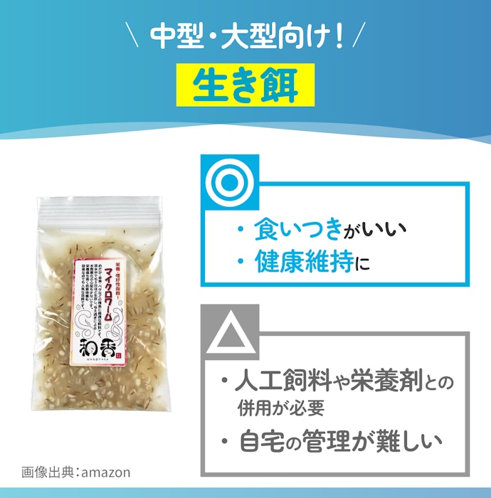 生き餌は中型・大型の熱帯魚向け。稚魚に与えるならブラインシュリンプがおすすめ