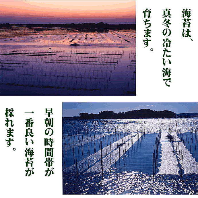 一番摘み:口溶けがよく、とろけるような柔らかさ。「◯等級」にも注目