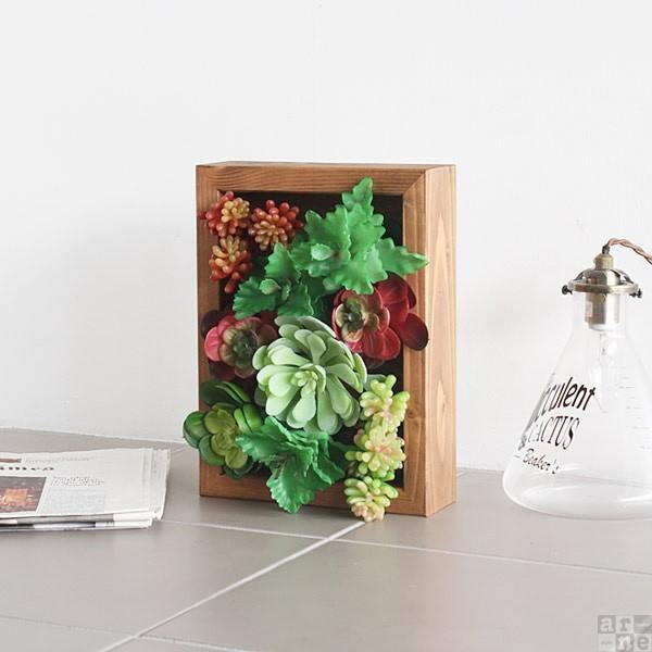 シンプルな部屋にはちょっぴり個性的な多肉植物を