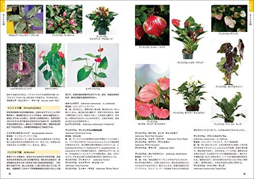 手軽さ・理解のしやすさを求める人には、イラスト・写真多めがマスト