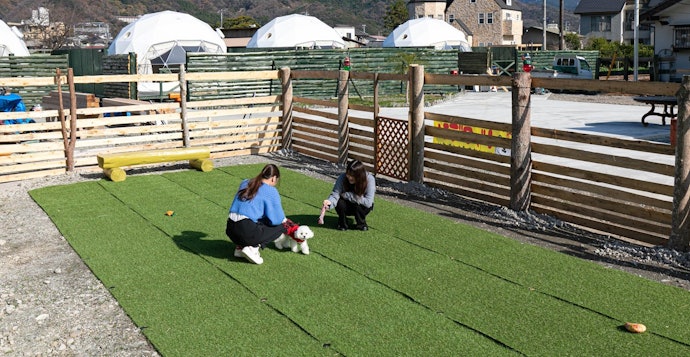 愛犬を連れて楽しみたい場合は、ペット対応の施設を探そう
